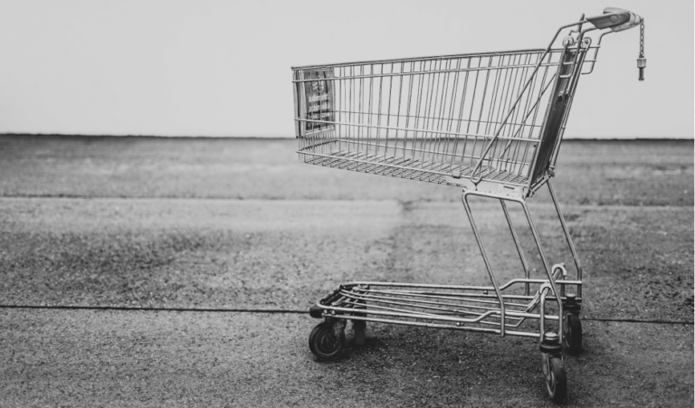 This picture illustrates our topic of fake shops with an empty shopping cart.