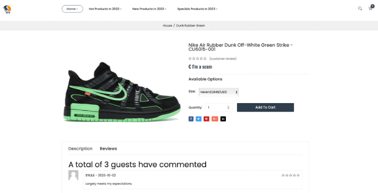 Here we include a screenshot from a real, live scam internet shopping site, purportedly selling a Nike Air Rubber Dunk. We at EBRAND have edited the price of the shoe to say "I'm a scam" to highlight the page's dangerous potential.