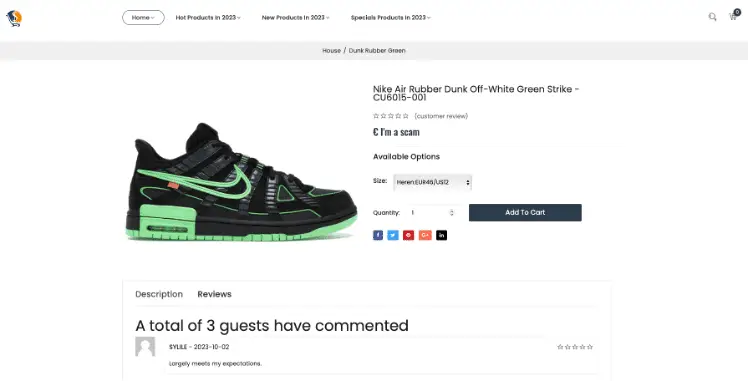 Here we include a screenshot from a real, live scam internet shopping site, purportedly selling a Nike Air Rubber Dunk. We at EBRAND have edited the price of the shoe to say 'I'm a scam' to highlight the page's dangerous potential.