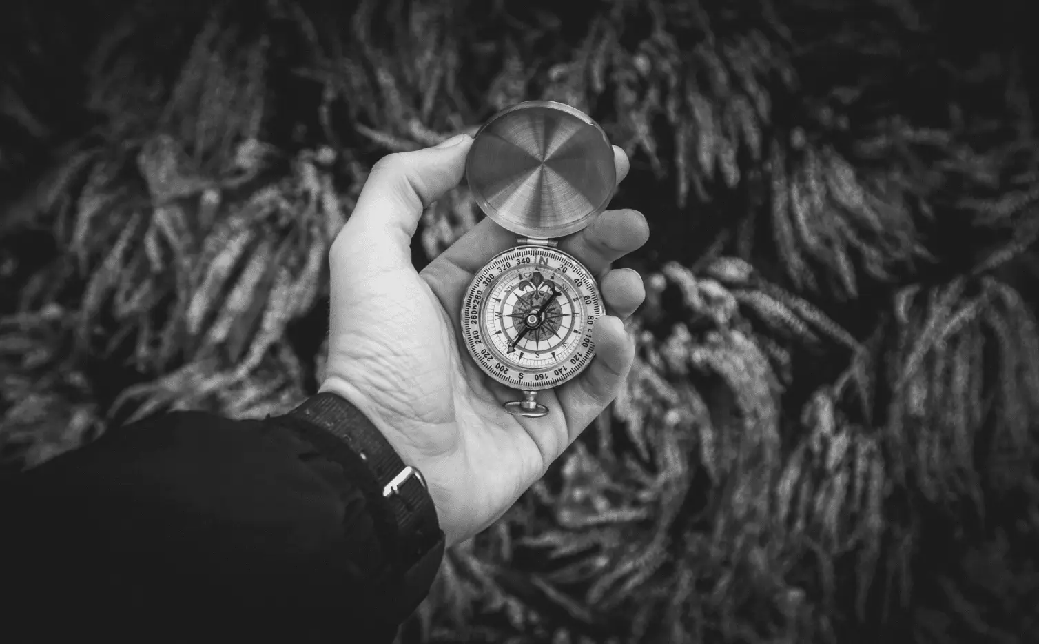 This image of a hand holding a compass illustrates the blog's topic: building a complete domain strategy for 2026