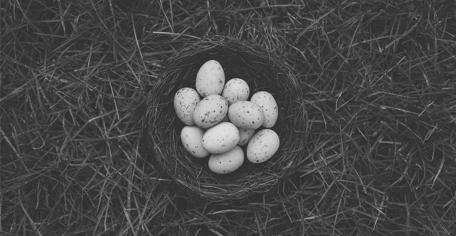 This image of Easter eggs illustrates our discussion topic: Easter scams, and how to find the brand protection golden egg.