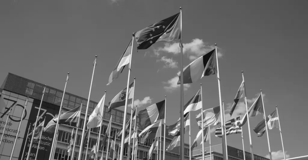 this image of European flags and the the EU flag illustrates our discussion topic: IP Protection and our legal advisor's lessons from Spain.