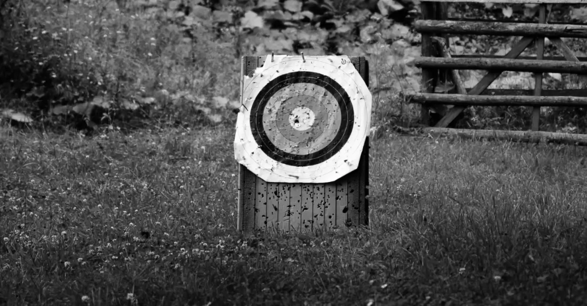 This image of a target full of arrows illustrates our discussion topic: takedowns for online infringements.
